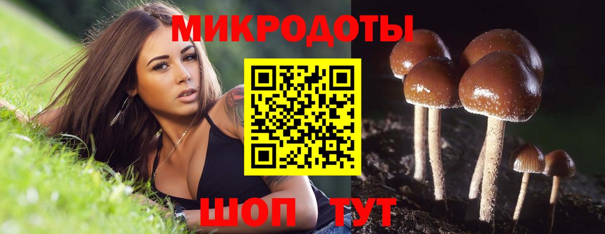 Галлюциногенные грибы GOLDEN TEACHER  Вход с VPN  Трёхгорный 